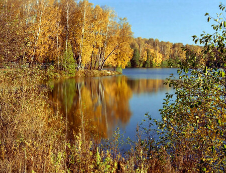 Золотая осень