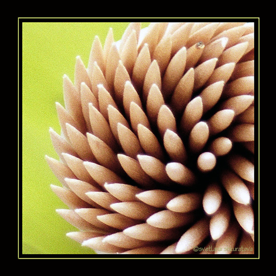 ...toothpick dance...