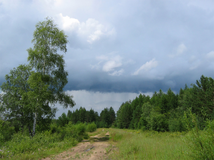 Предгрозовая
