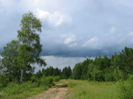 Предгрозовая