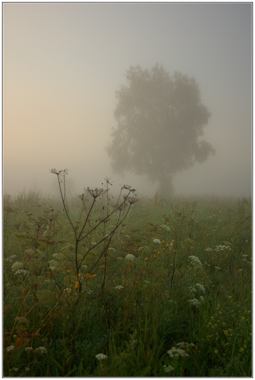 The Silence...