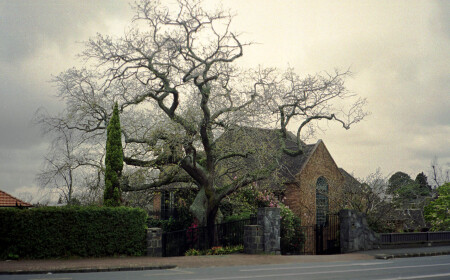 Зимние деревья в Ремуере