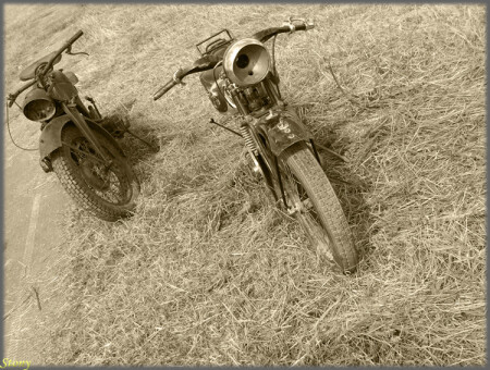 на обочине жизни...