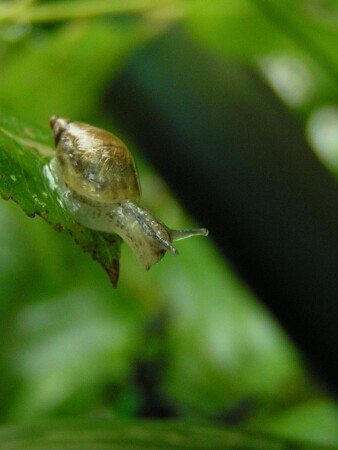 Реально высоко!