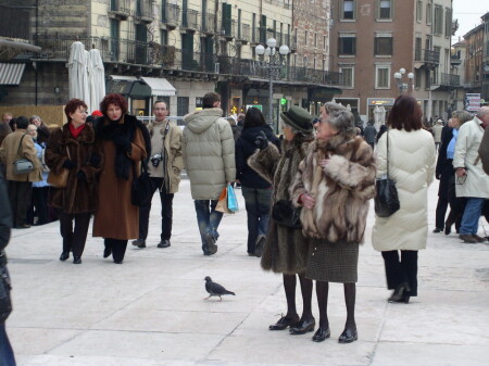 I don&#039;t remember