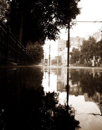 во время дождя