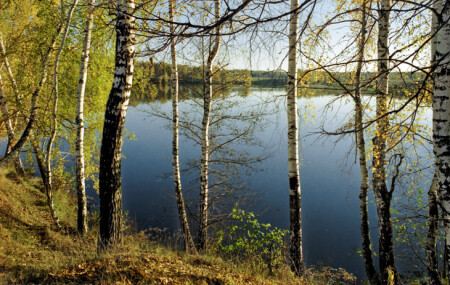 Вечерняя зарисовка