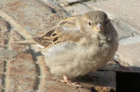 Вот такой вот я....