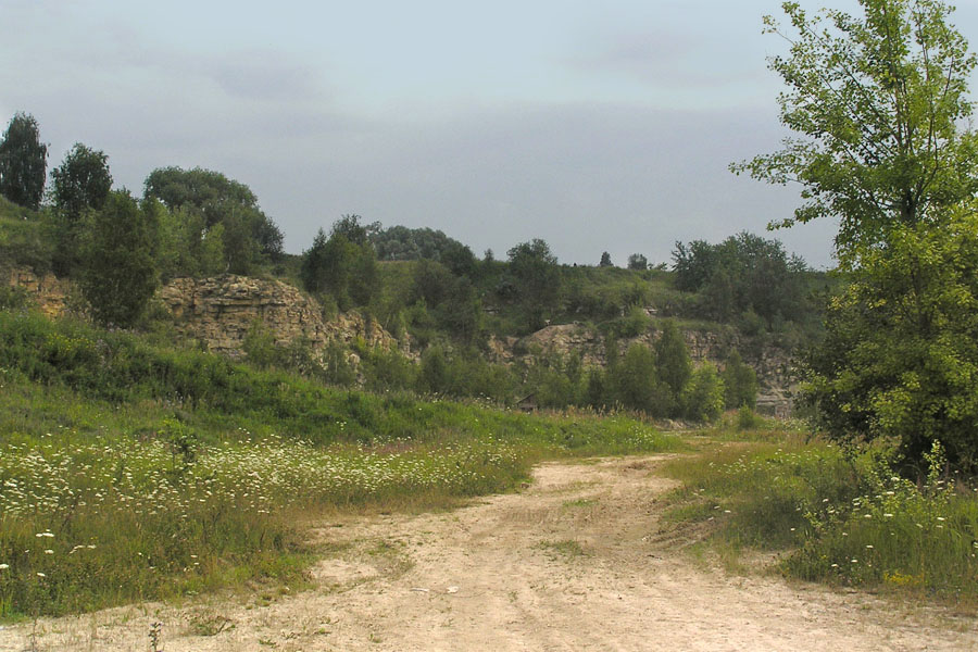 Дорога 