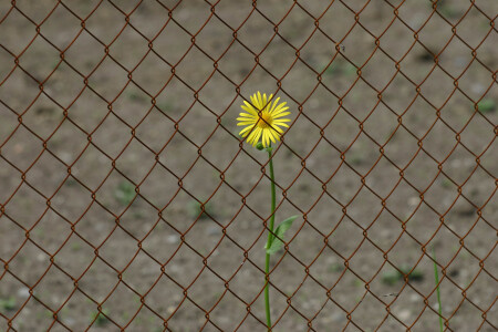 В заточении