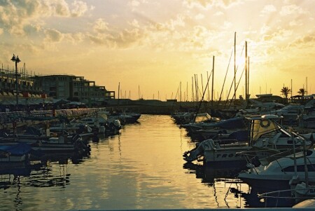 без названия #1 