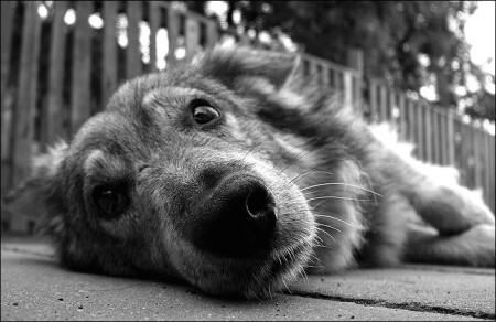 Как трудно жить...