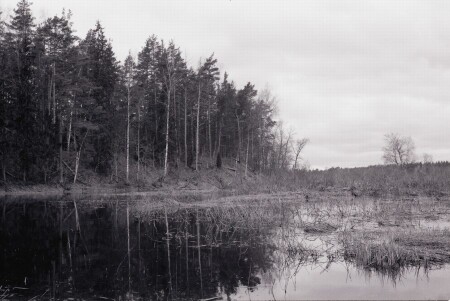 №7 (&amp;quot;Заводь&amp;quot;)