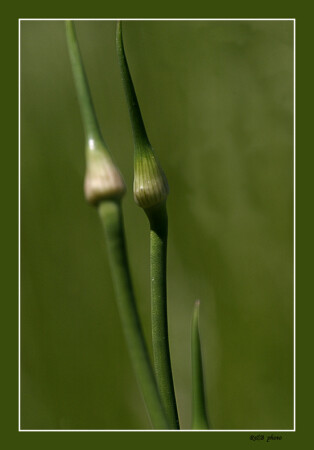 ...ты меня уважаешь???...