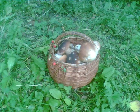 Корзинка с грибами