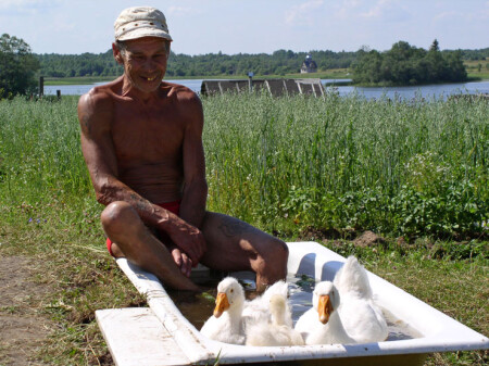 Три веселых гуся и хозяин