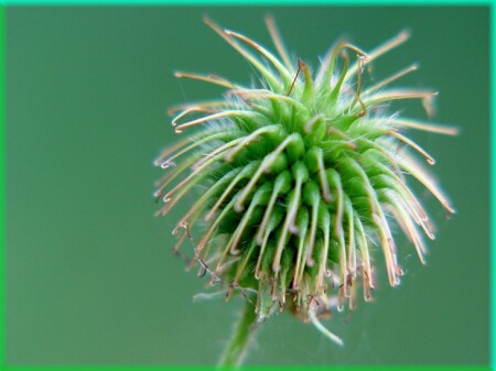 Очень оригинальная прическа