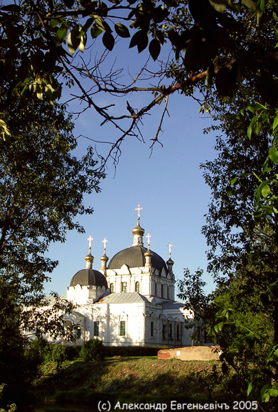 спряталась