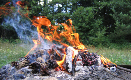 Огненные шишки