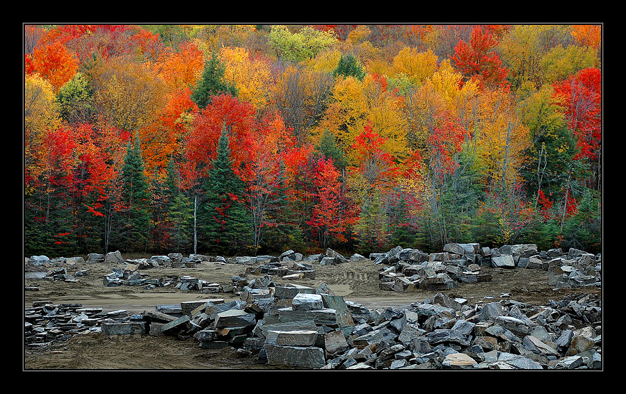 Paints of Autumn