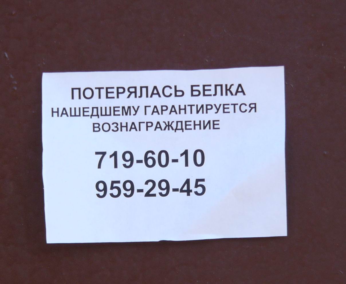 Центр Санкт Петербурга