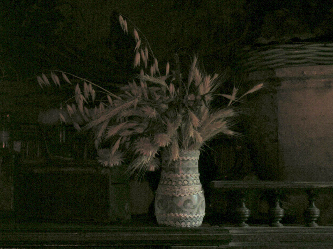 Vase, rye and darkness