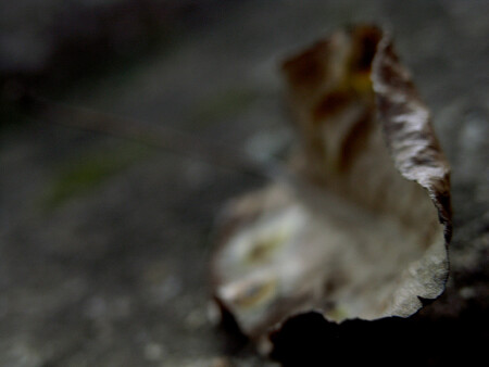 miniature