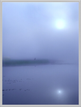 утренний туман....