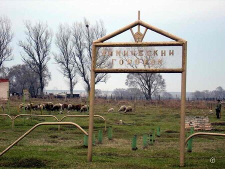 Вкусные овечки