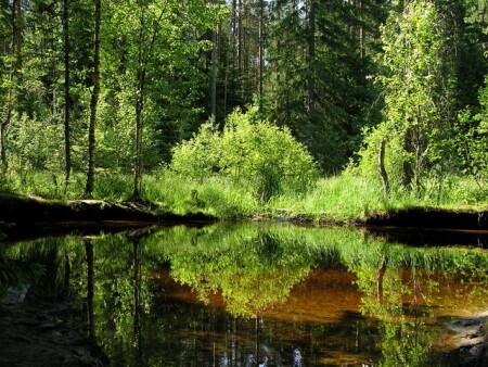 Зазеркалье
