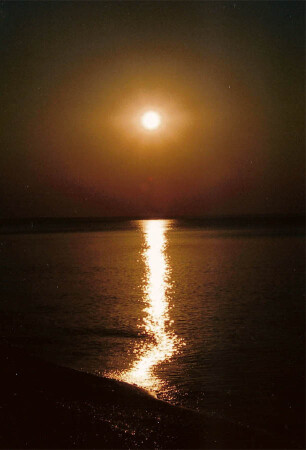 Солнечная тропа