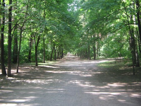 куда ведет меня дорога