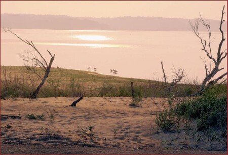 sunset at chincoteaque island