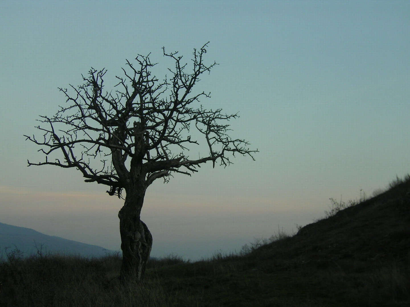 Sicevo1