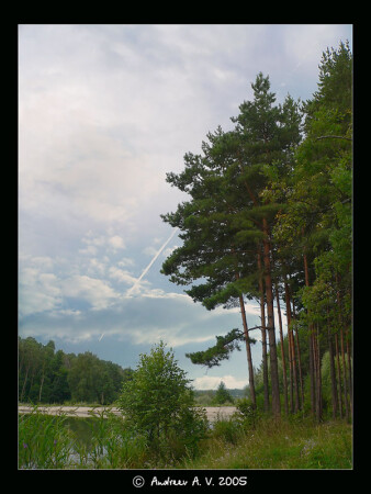 Росчерк