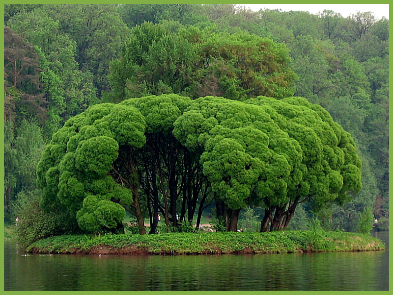 Green world