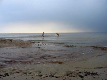 Перед бурей