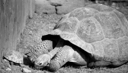 Интерес угас