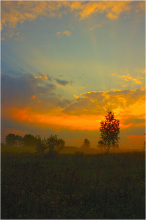 The Magic of the dawning...