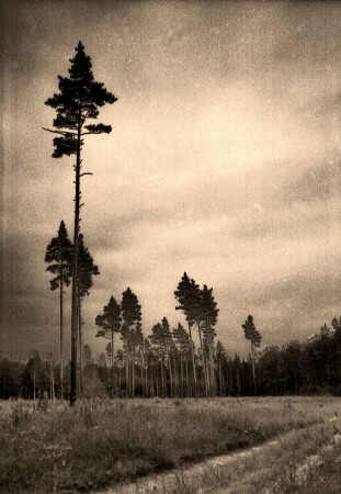 Без названия