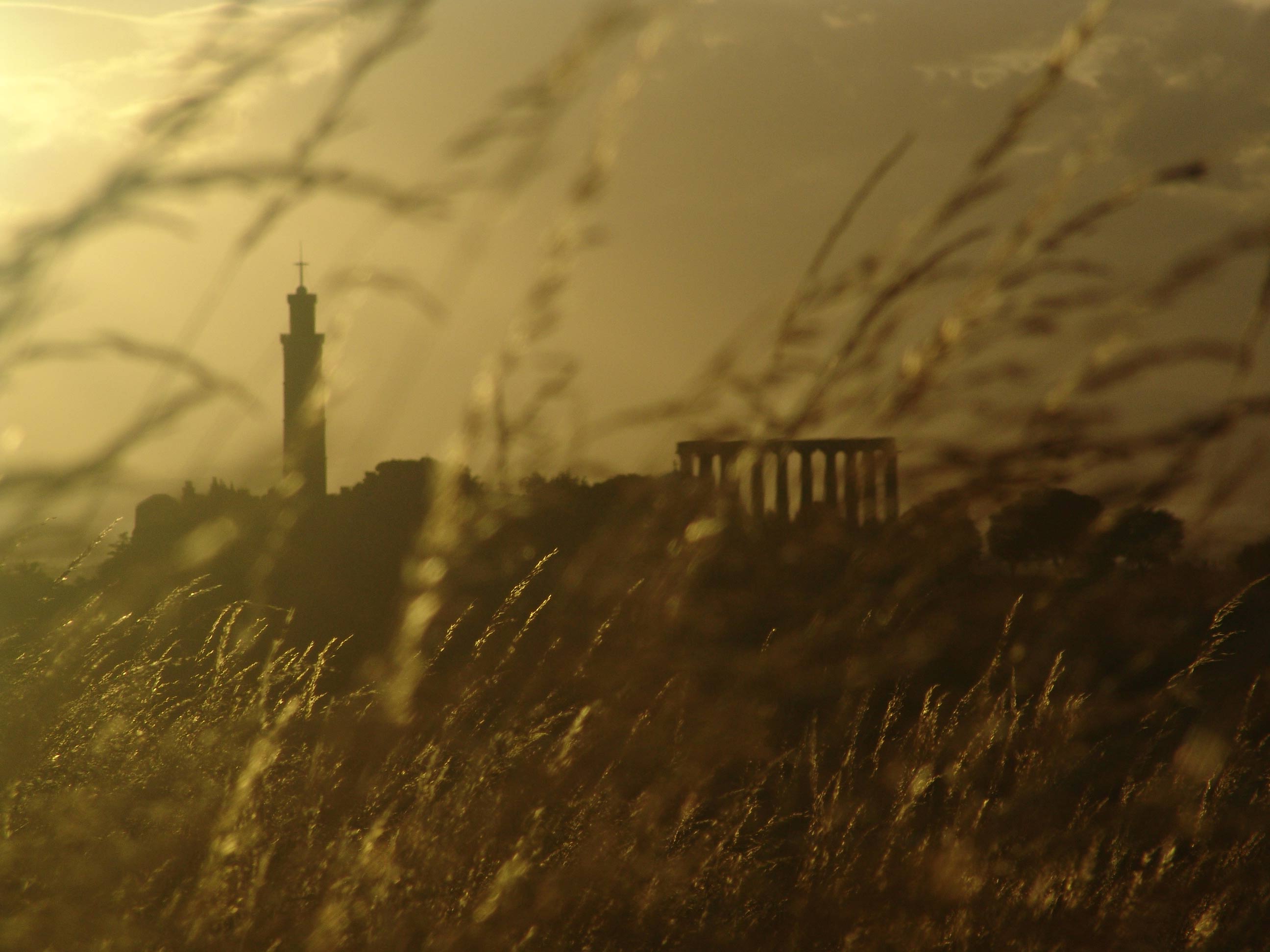 Farewell to Scotland