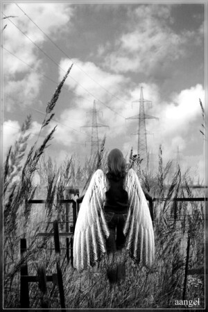 Quite angel