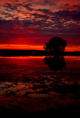 Red...