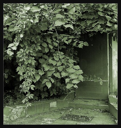 the door