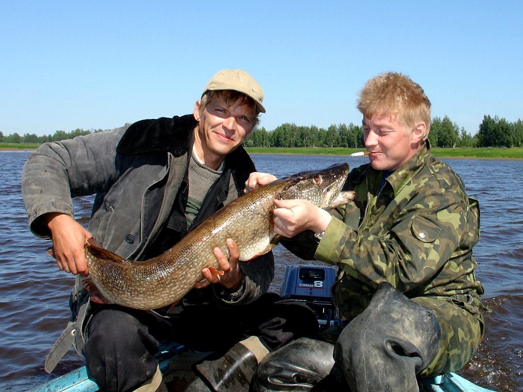 а зубы у нее 1,5 см..