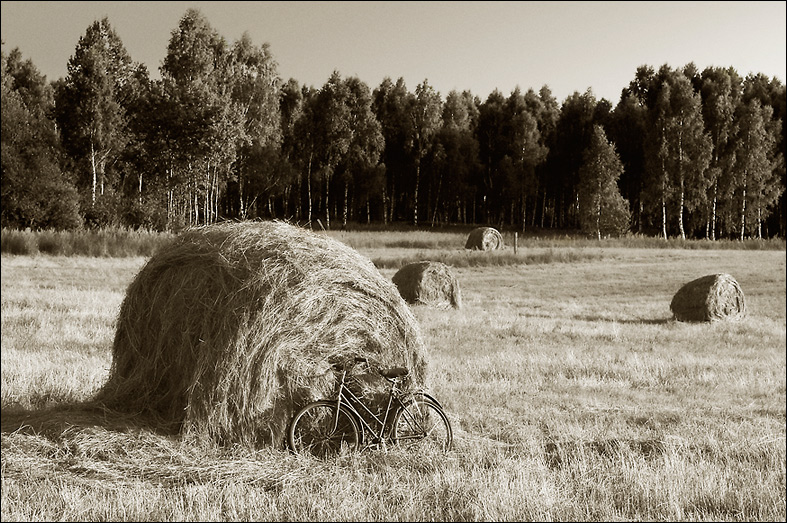 фотография про скошенное поле и велосипед