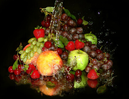 FRUIT SEASON