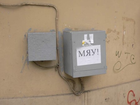 Мяу!