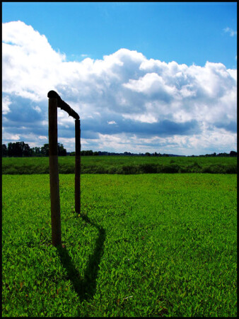 Conceptual