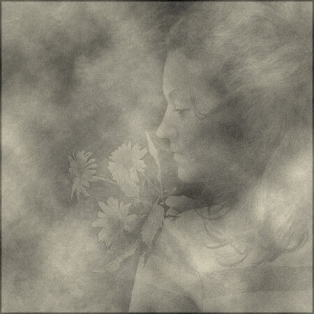 Сон в летнюю ночь